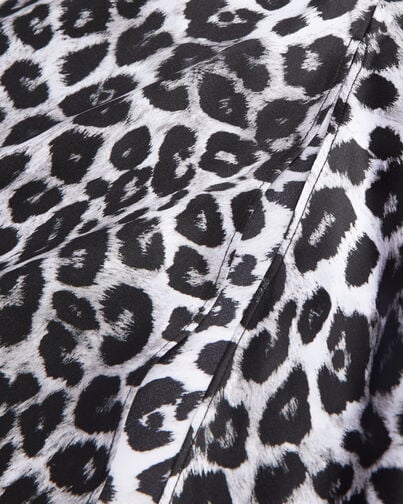 , BLACK WHITE LEOPARD, hi-res image number null