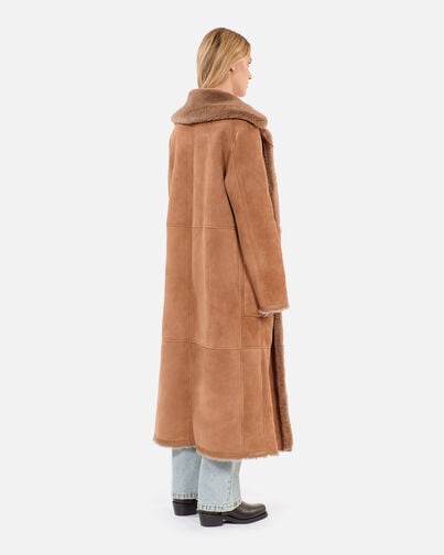 , BROWN, hi-res image number null