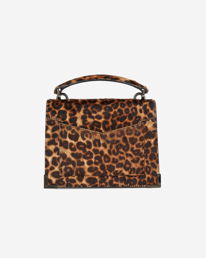 , LEOPARD, hi-res image number null