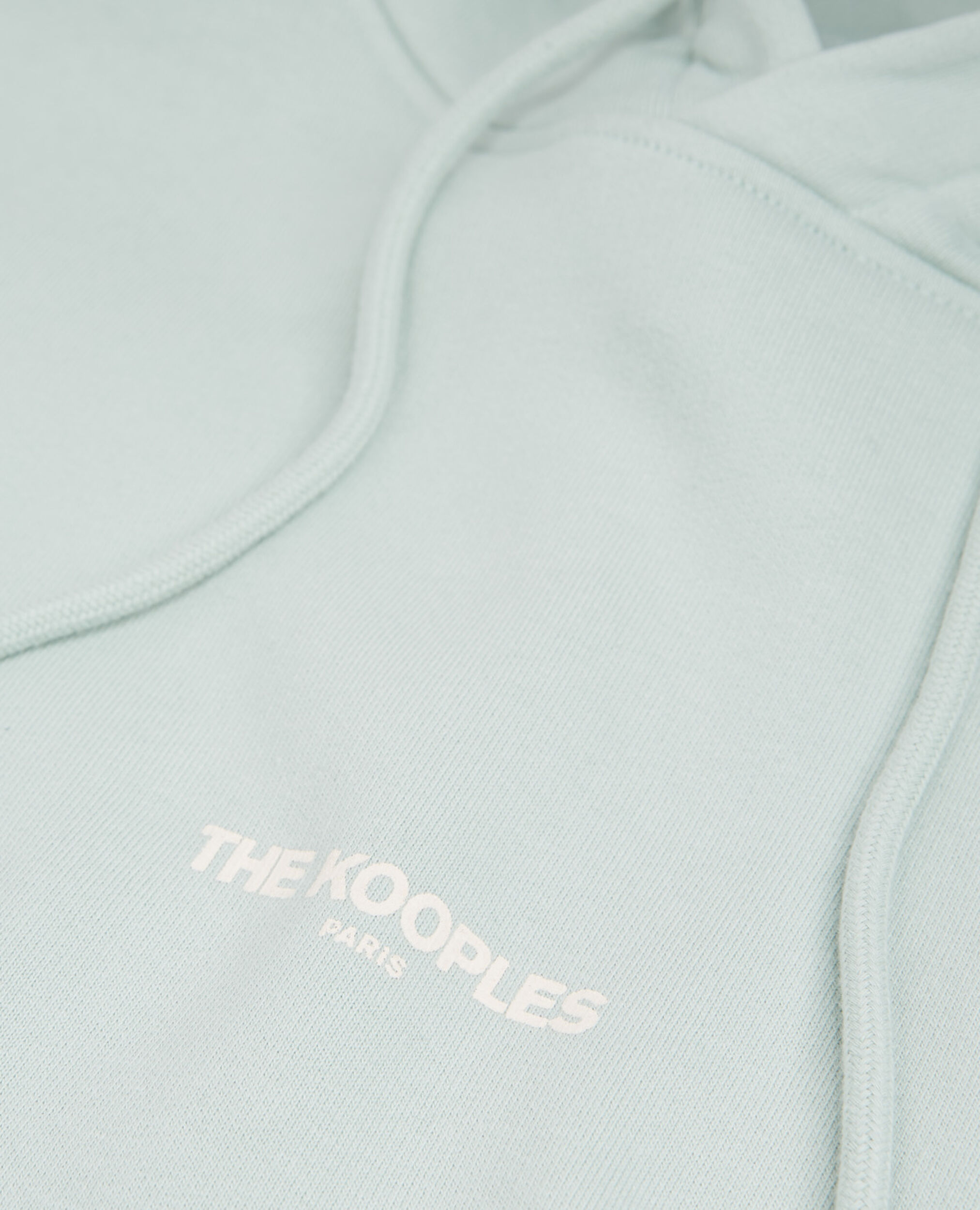 Sea green hoodie with logo on the chest, GRIS BLEU, hi-res image number null