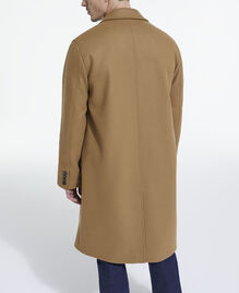 , CAMEL, hi-res image number null