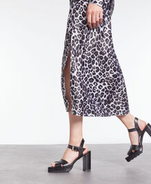 , BLACK WHITE LEOPARD, hi-res image number null