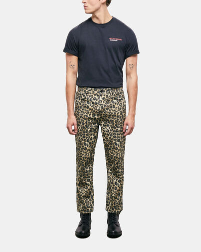 , LEOPARD, hi-res image number null