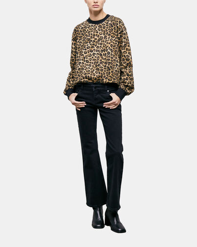 , LEOPARD, hi-res image number null