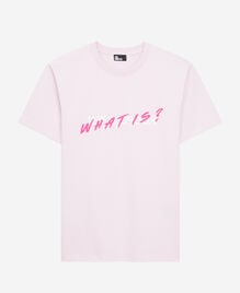 , PALE PINK, hi-res image number null