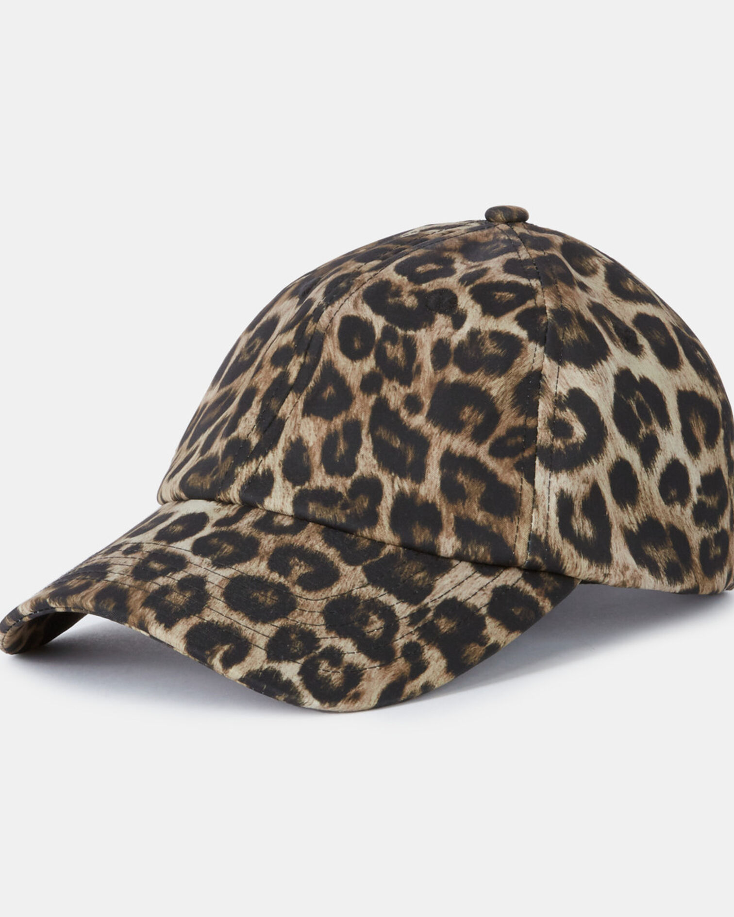 , LEOPARD, hi-res image number null