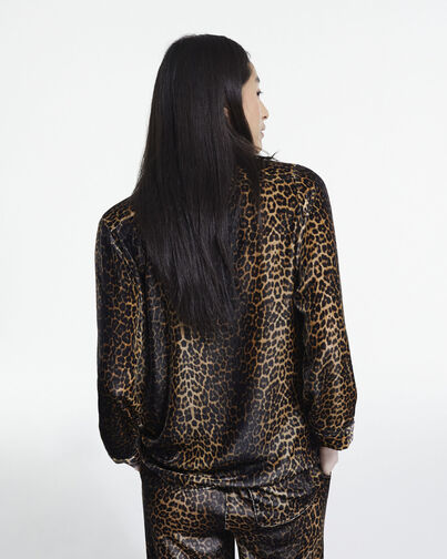 , LEOPARD, hi-res image number null
