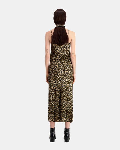 , LEOPARD, hi-res image number null