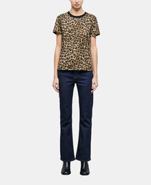, LEOPARD, hi-res image number null