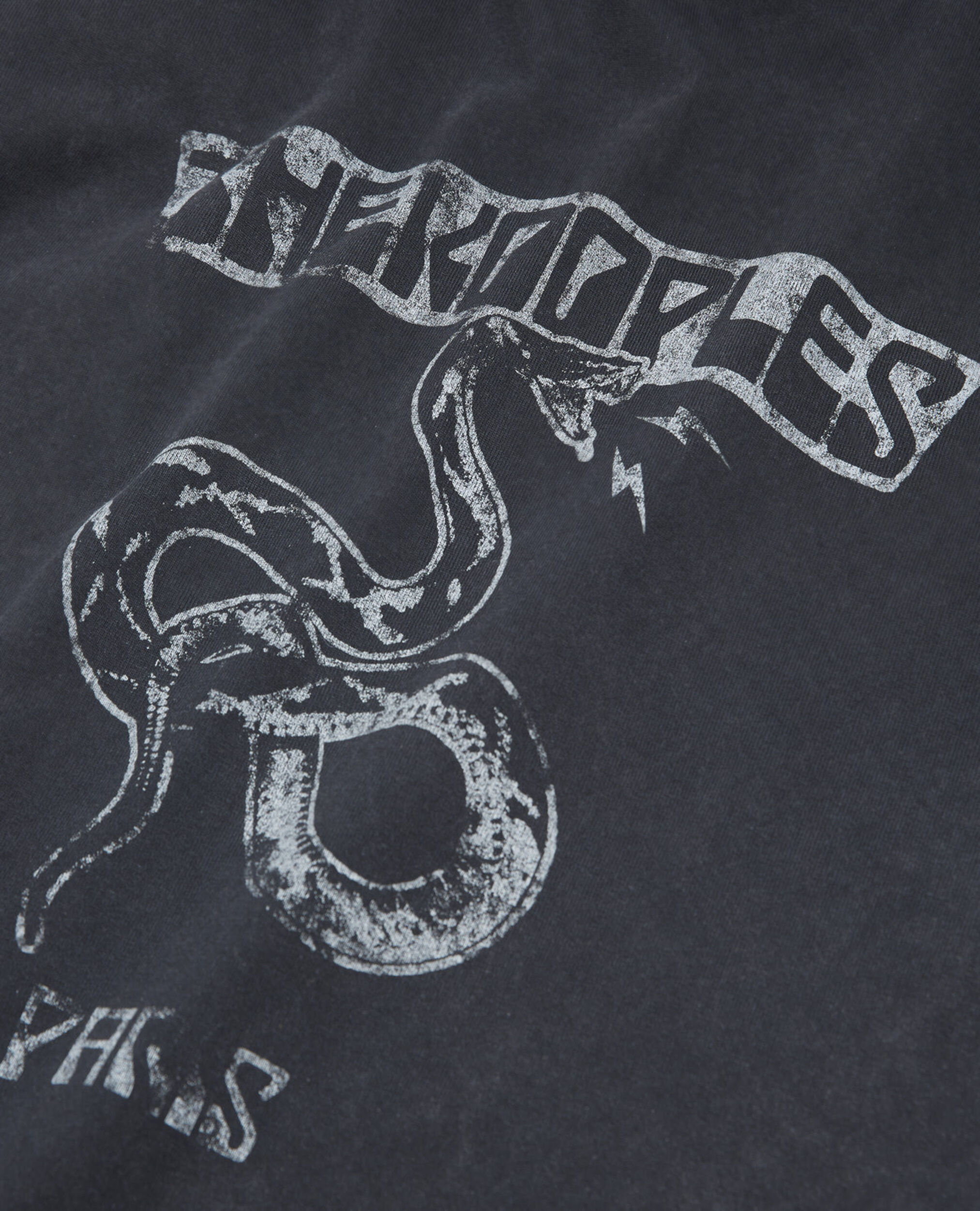 T-shirt noir coton imprimé serpent, BLACK WASHED, hi-res image number null