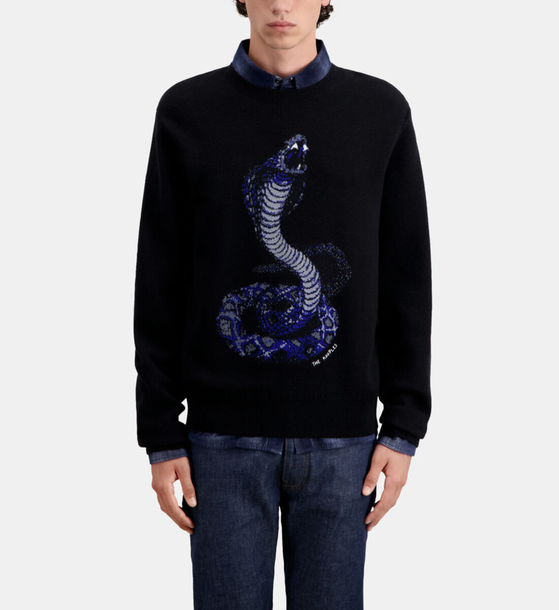 Cobra sweater top