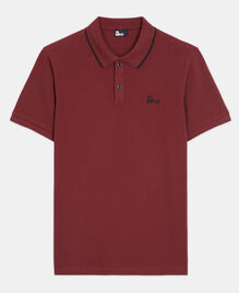 , BURGUNDY, hi-res image number null