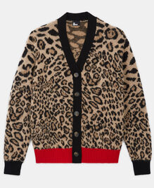 , LEOPARD, hi-res image number null