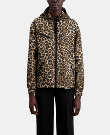 , LEOPARD, hi-res image number null