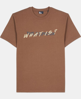 The Kooples MEN BROWN brown what is t-shirt
