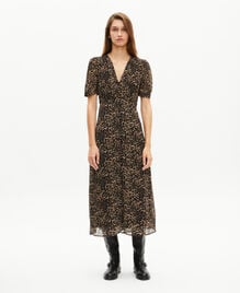 , LEOPARD, hi-res image number null