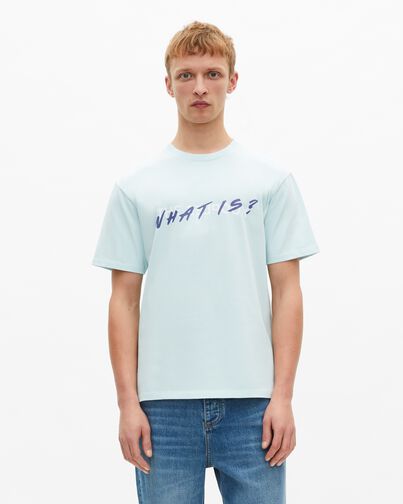 , BABY BLUE, hi-res image number null