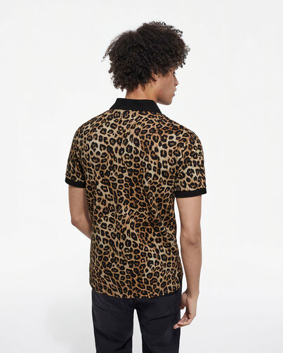 , LEOPARD, hi-res image number null