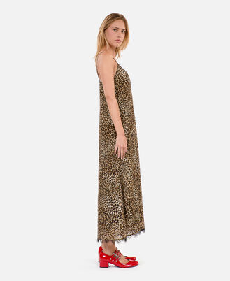 , LEOPARD, hi-res image number null
