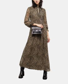 , LEOPARD, hi-res image number null