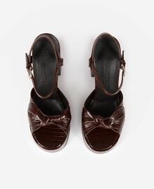 , BROWN, hi-res image number null