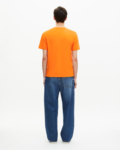 , ORANGE, hi-res image number null