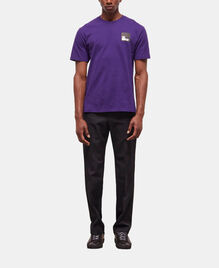 , PURPLE, hi-res image number null