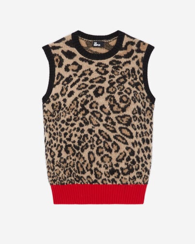 , LEOPARD, hi-res image number null