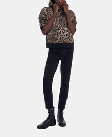 , LEOPARD, hi-res image number null