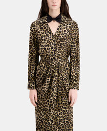 , LEOPARD, hi-res image number null