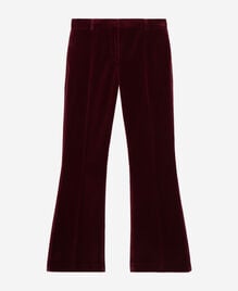 , BURGUNDY, hi-res image number null