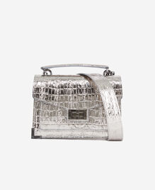 , ANTIC SILVER, hi-res image number null