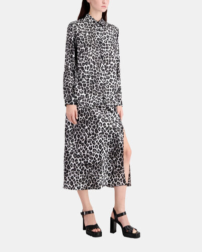 , BLACK WHITE LEOPARD, hi-res image number null