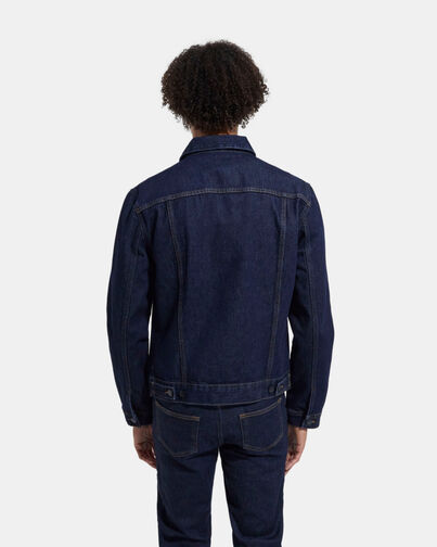 , BLUE BRUT, hi-res image number null