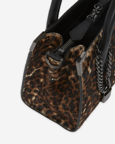, LEOPARD, hi-res image number null