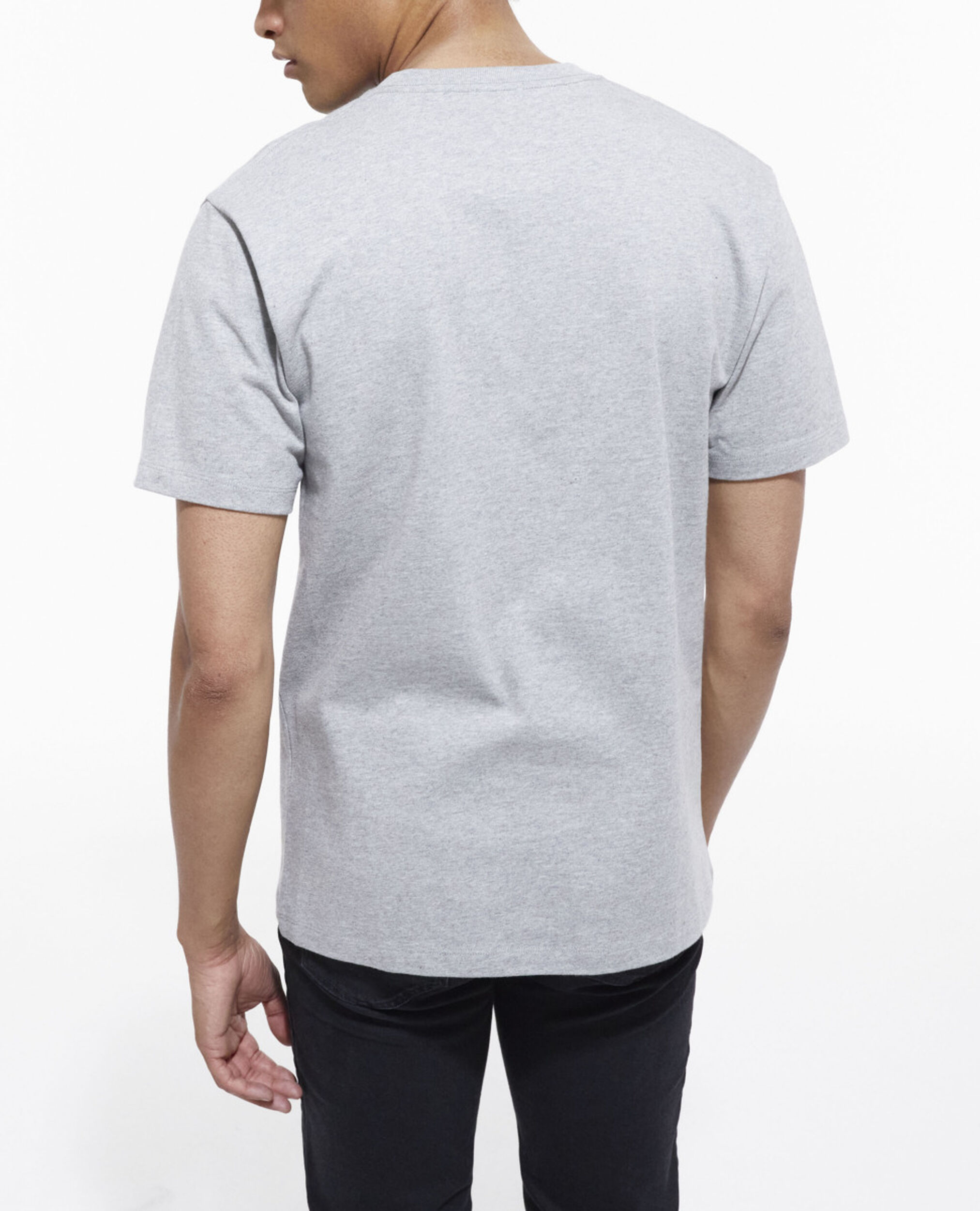 Gray T-shirt with screen print, GREY MELANGE, hi-res image number null