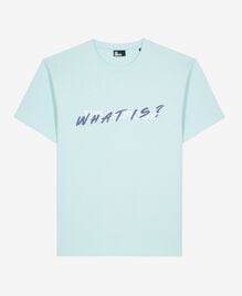 , BABY BLUE, hi-res image number null