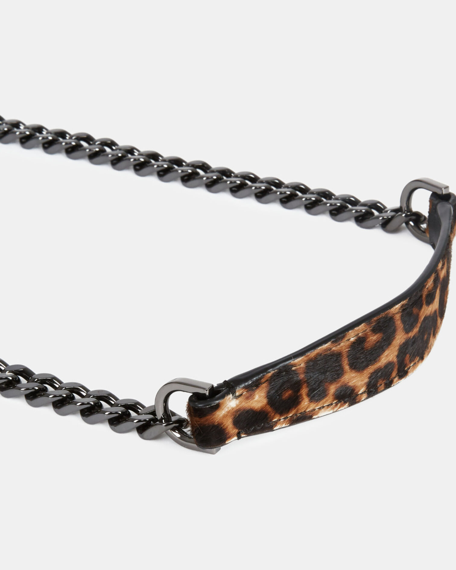 , LEOPARD, hi-res image number null