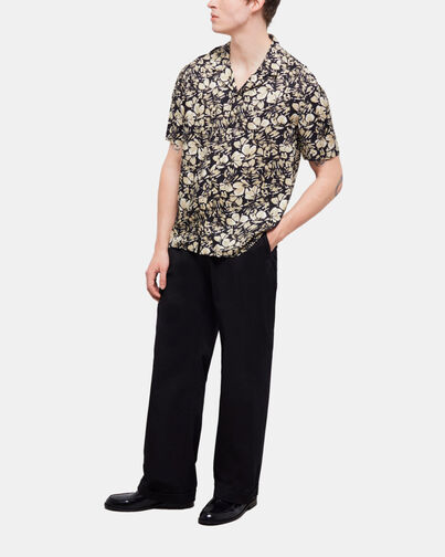 , BLACK BROWN, hi-res image number null