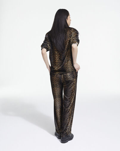 , LEOPARD, hi-res image number null
