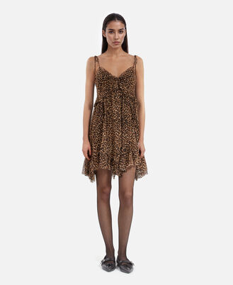 , LEOPARD, hi-res image number null