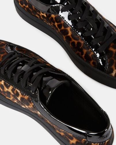, LEOPARD, hi-res image number null