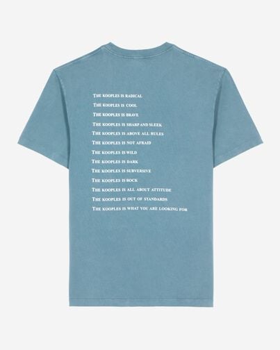 , BLUE GREY, hi-res image number null
