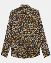 , LEOPARD, hi-res image number null
