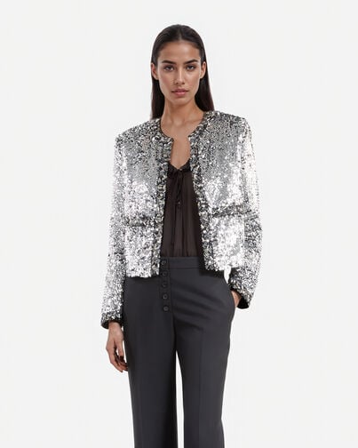 , SILVER, hi-res image number null