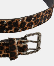 , LEOPARD, hi-res image number null