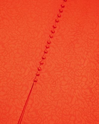 , ORANGE RED, hi-res image number null