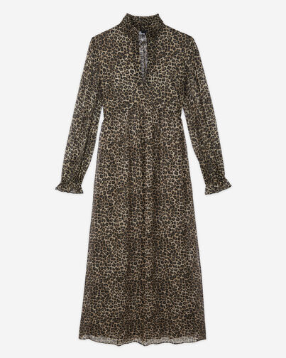 , LEOPARD, hi-res image number null