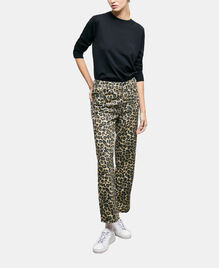 , LEOPARD, hi-res image number null
