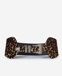 , LEOPARD, hi-res image number null